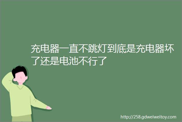 充电器一直不跳灯到底是充电器坏了还是电池不行了